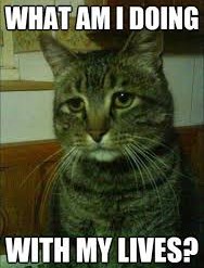 So You Ruined Your Life...Now What?